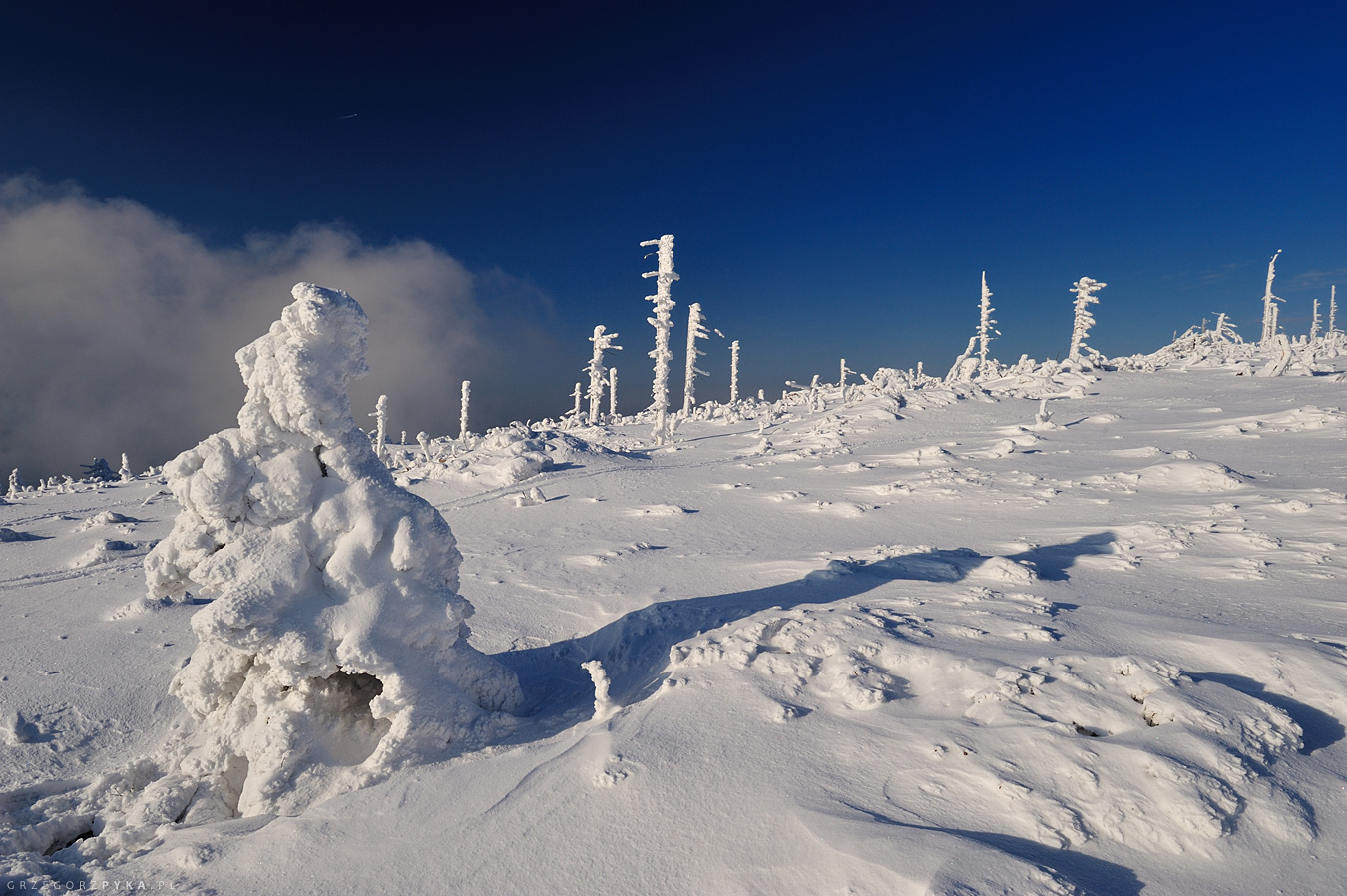 Zdjęcie zimowe, Zima w Beskidach, Skrzyczne zdjęcia
