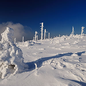 Zdjęcie zimowe, Zima w Beskidach, Skrzyczne zdjęcia
