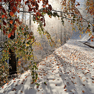 Zima jesienią, jesienno zimowa fotografia, zdjęcie jesieni, zdjęcie zimy